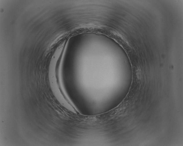 X0000073420968200608251546