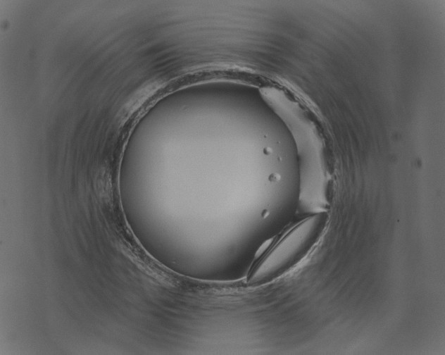 X0000073420969200608251546