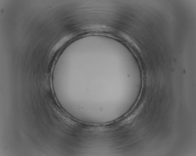 X0000073420970200608251546