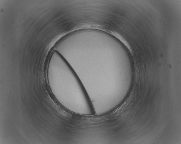 X0000073420972200608251546