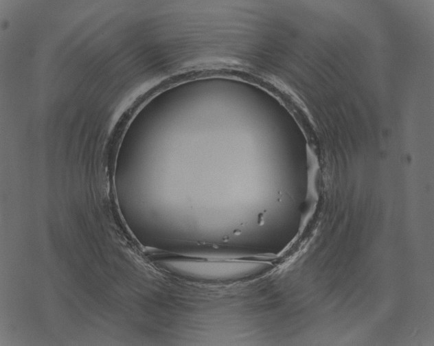 X0000073420973200608251546