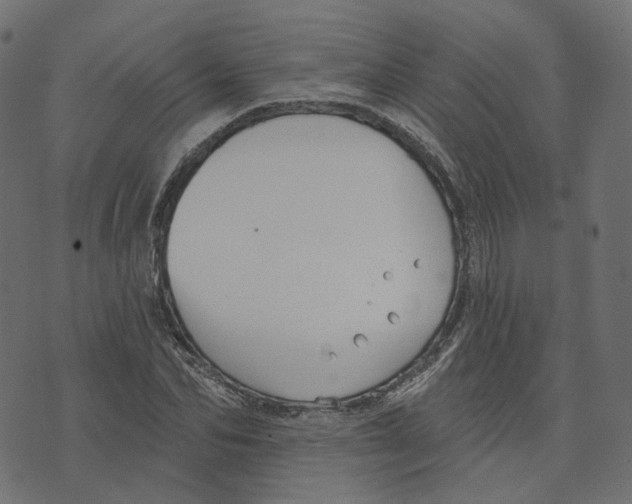 X0000073420974200608251546