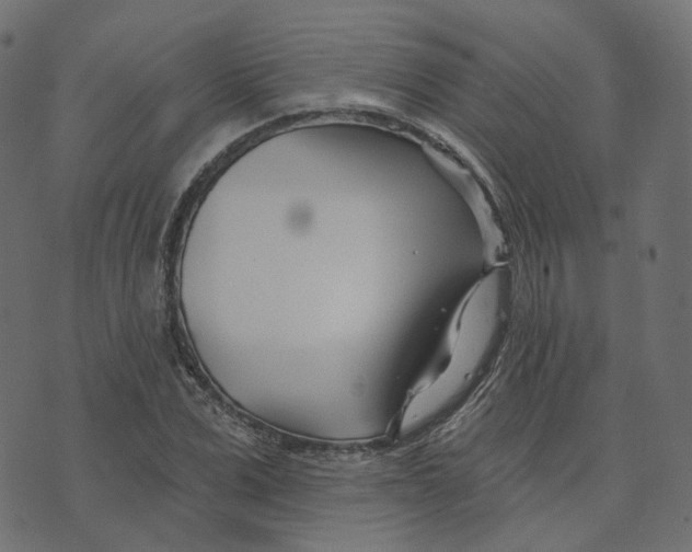 X0000073420975200608251546