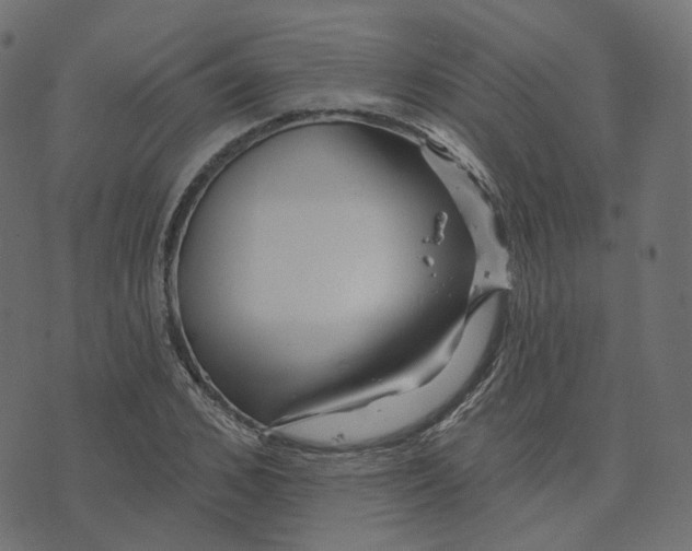 X0000073420976200608251546