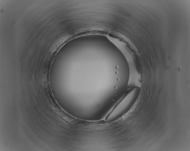 X0000073420977200608251546