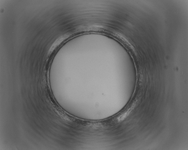 X0000073420978200608251546