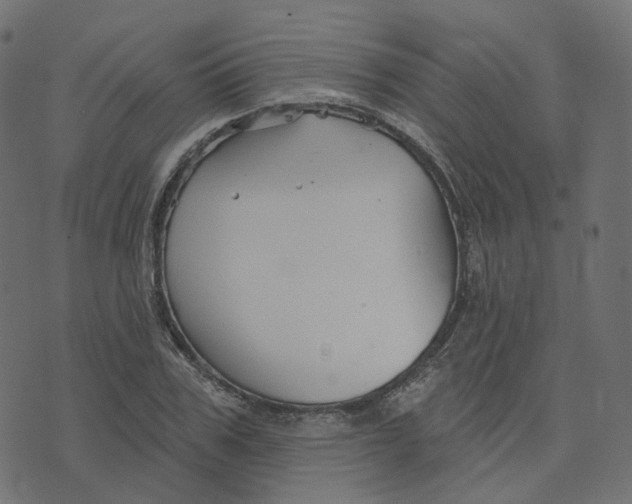 X0000073420979200608251546