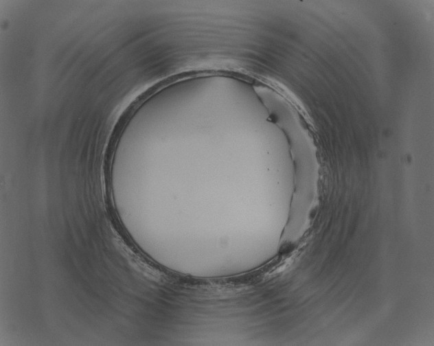 X0000073420980200608251546