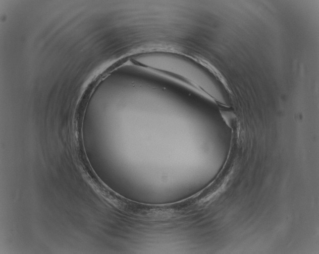 X0000073420981200608251546