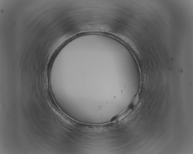 X0000073420982200608251546