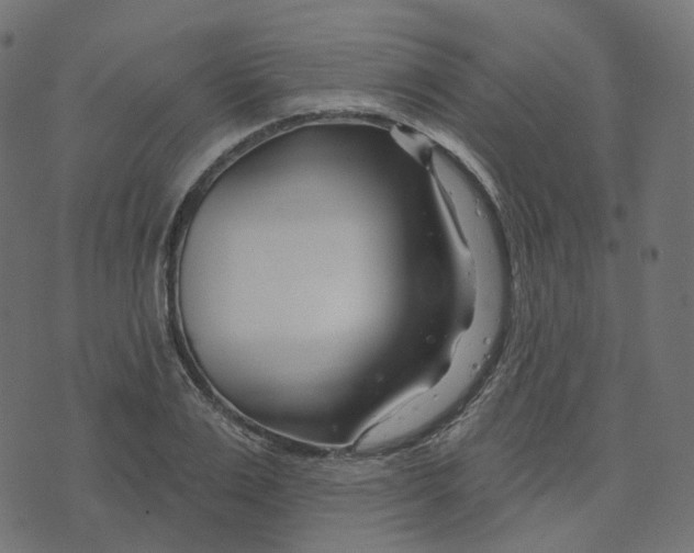 X0000073420983200608251546