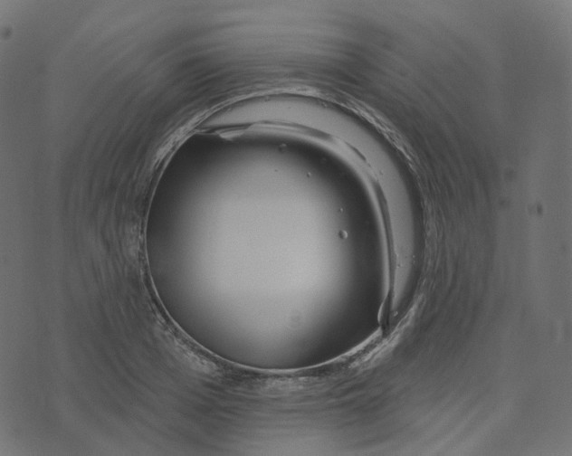 X0000073420985200608251546