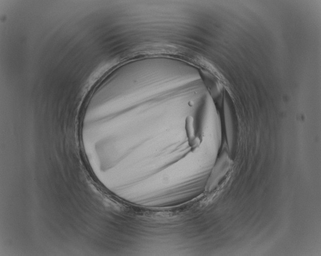 X0000073420986200608251545