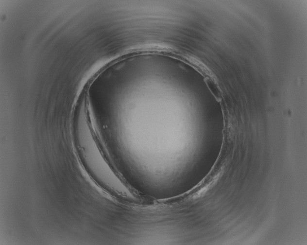 X0000073420989200608251545