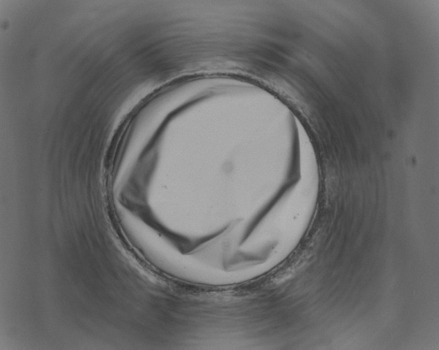 X0000073420990200608251545