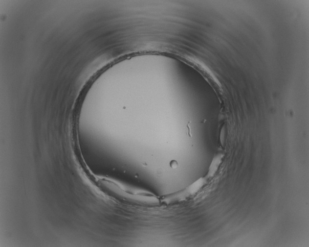 X0000073420991200608251545