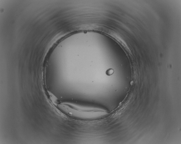 X0000073420992200608251545