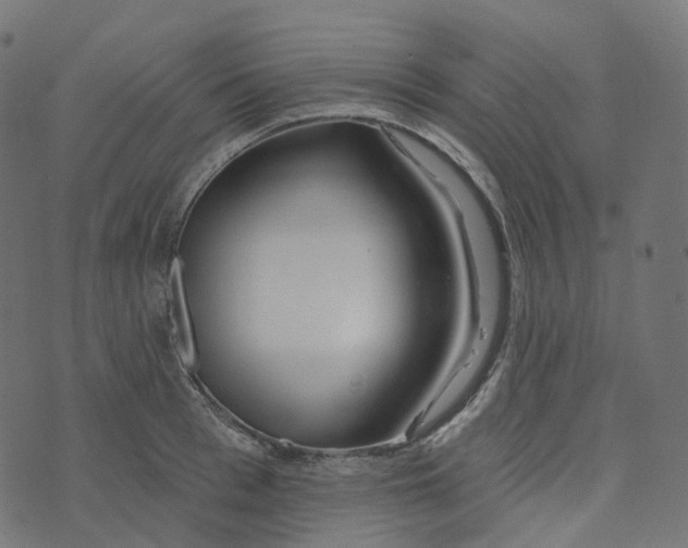 X0000073420993200608251545