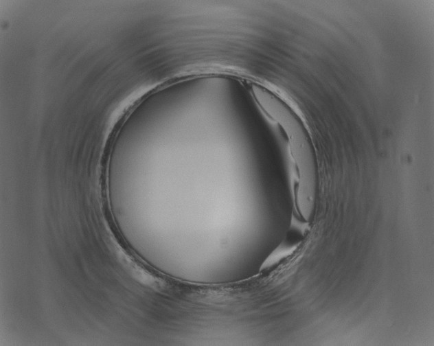 X0000073420995200608251545