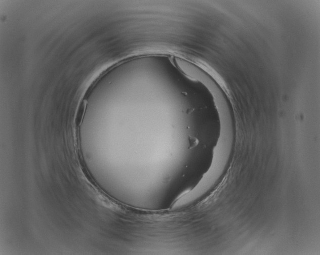 X0000073420996200608251545