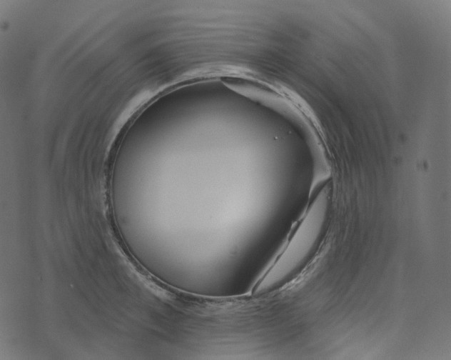 X0000073420997200608251545