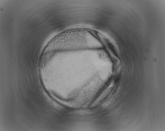 X0000073420998200608251545