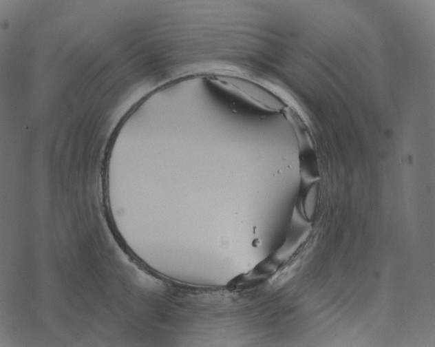 X0000073420999200608251545