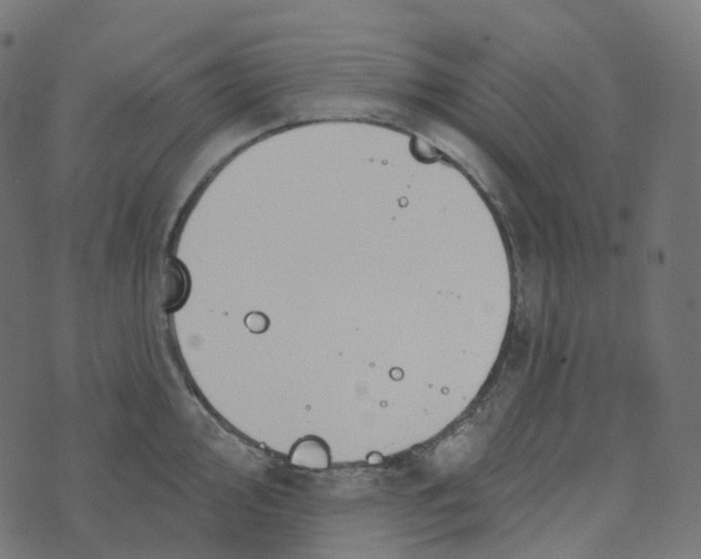 X0000073421000200608251545