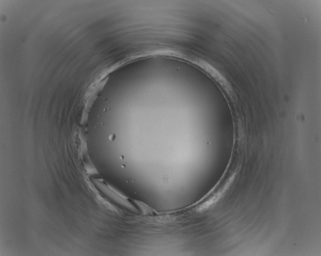 X0000073421001200608251545