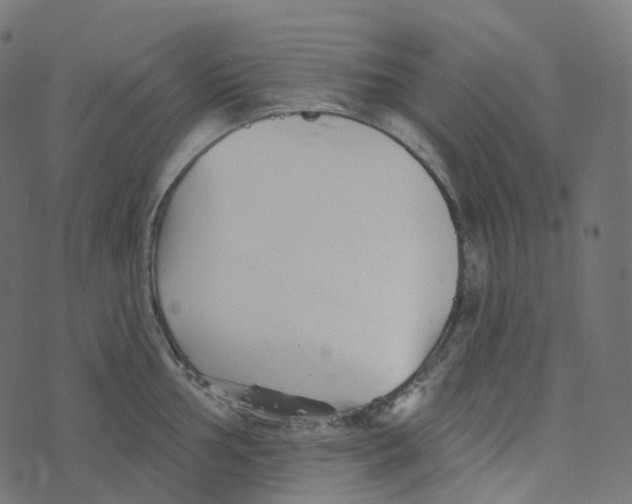 X0000073421002200608251545