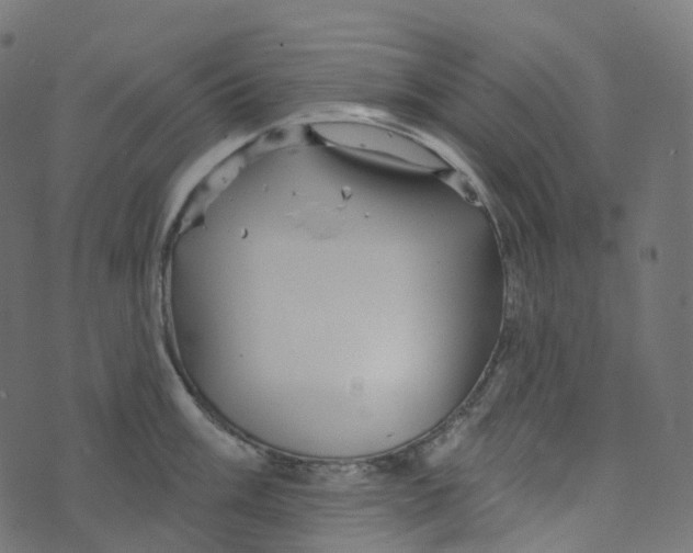 X0000073421003200608251545