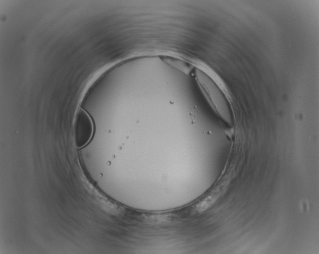 X0000073421004200608251545