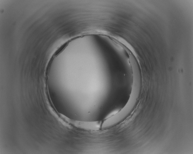 X0000073421005200608251545