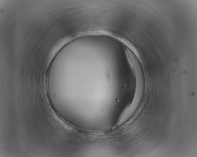 X0000073421006200608251545