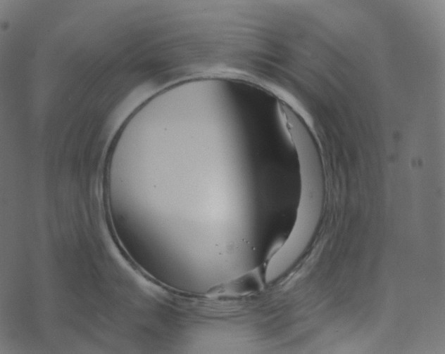 X0000073421007200608251545