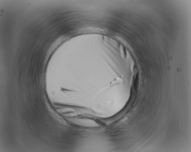 X0000073421008200608251545