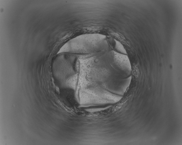 X0000073421009200608251544