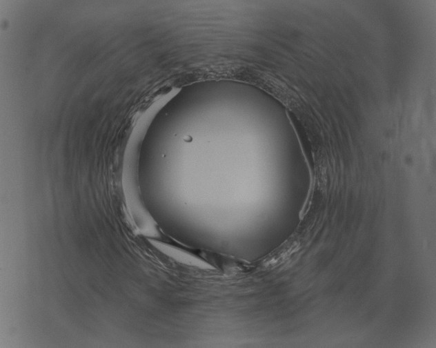 X0000073421010200608251544