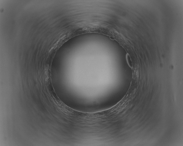 X0000073421012200608251544