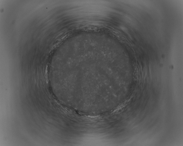 X0000073421013200608251544