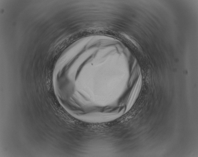 X0000073421015200608251544