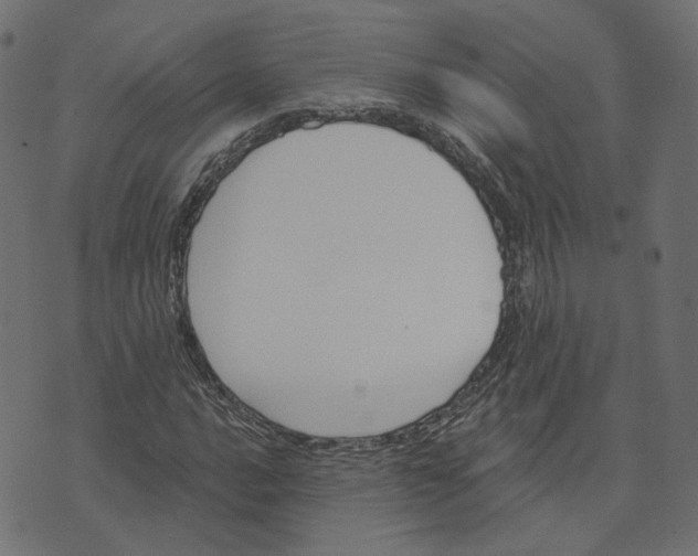 X0000073421016200608251544