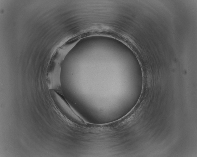 X0000073421018200608251544