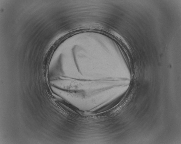 X0000073421019200608251545