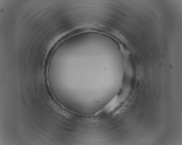 X0000073421020200608251545