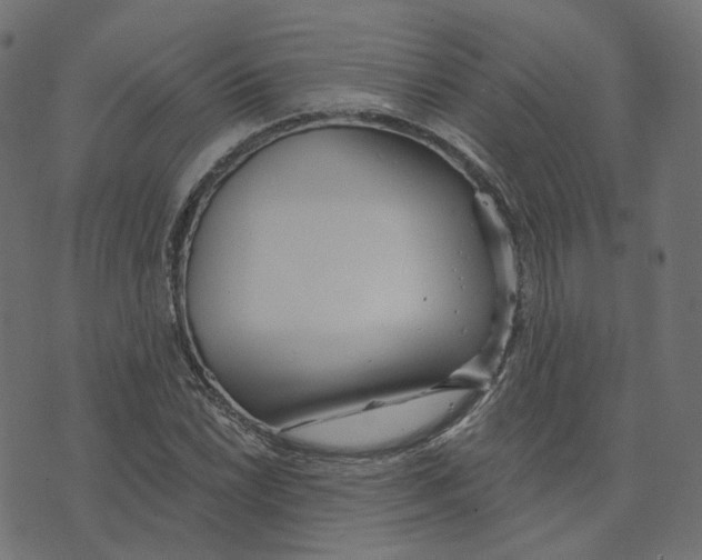 X0000073421022200608251545