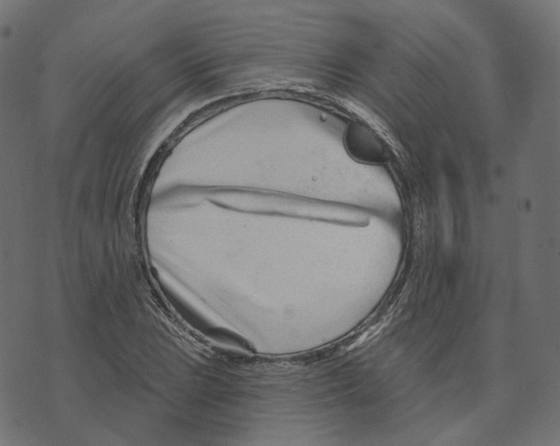 X0000073421023200608251545