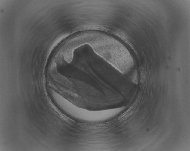 X0000073421024200608251545