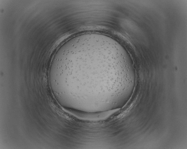 X0000073421025200608251545