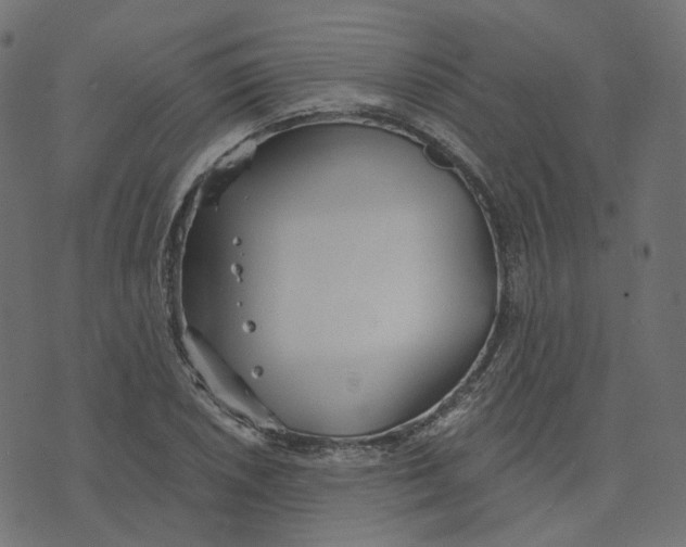 X0000073421026200608251545